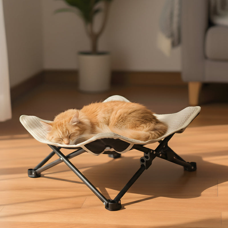 Cat Lounge Bed & Hammock