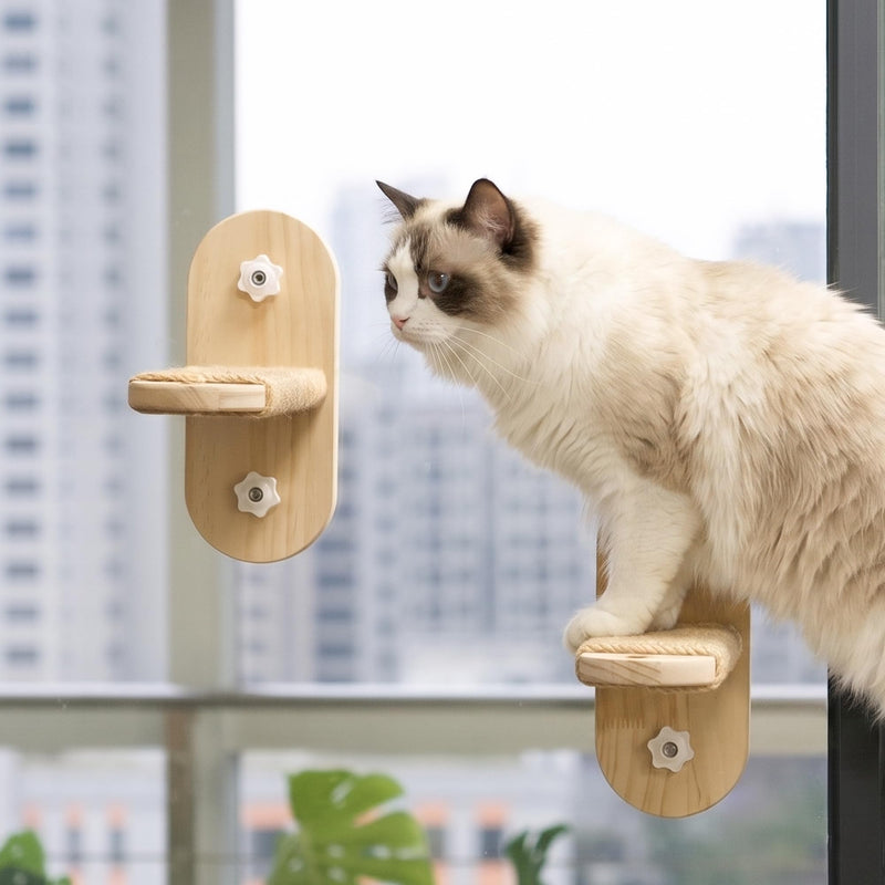 Cat Window Perch