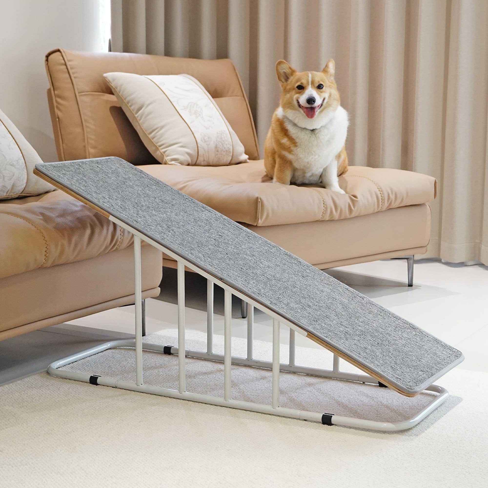 Dog Ramp