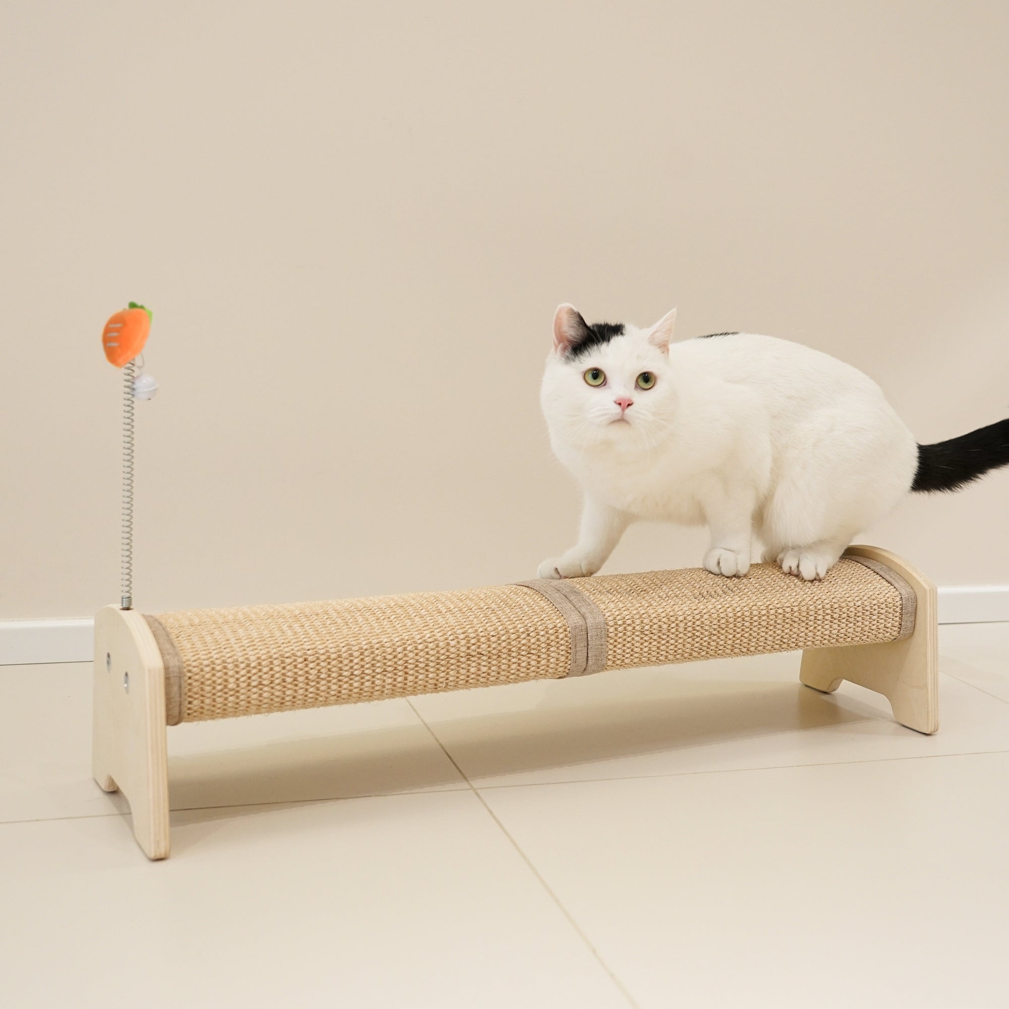 PETKARAY Horizontal Scratching Post