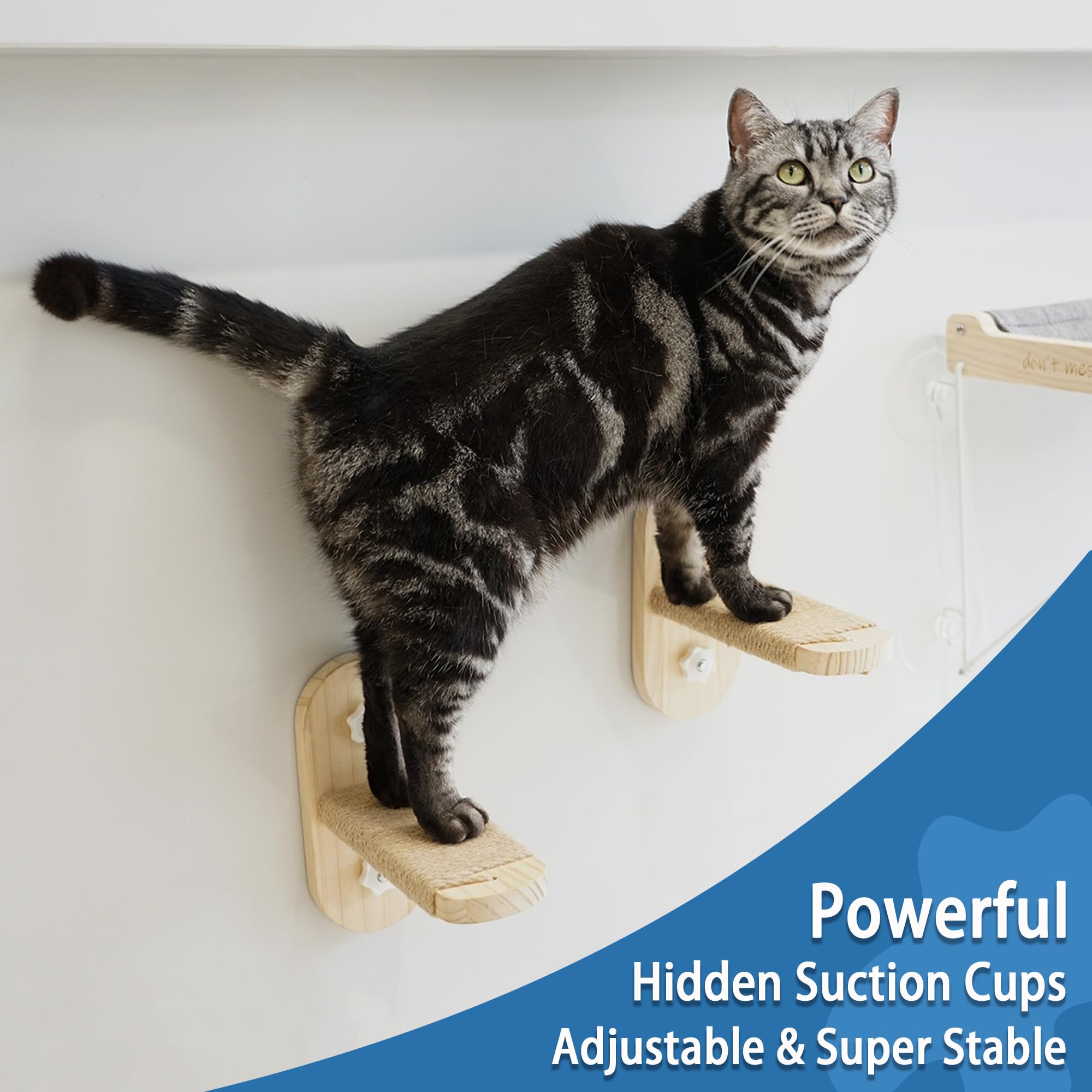 PETKARAY Cat Window Stairs