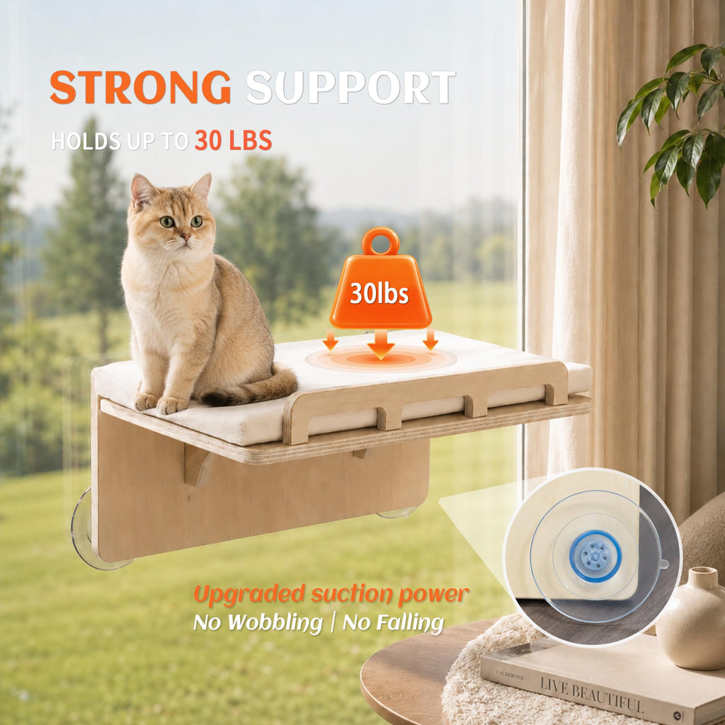 PETKARAY Cat Window Perch with Rail, Wood Hammock Window Bed for Cats