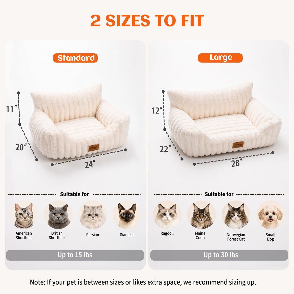 PETKARAY Cat Couch Bed, 28'' Soft Sofa for Indoor Cats, Machine Washable