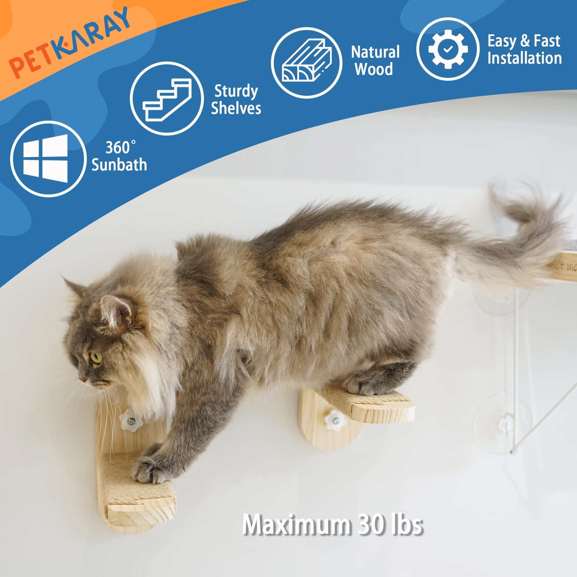 PETKARAY Cat Window Stairs