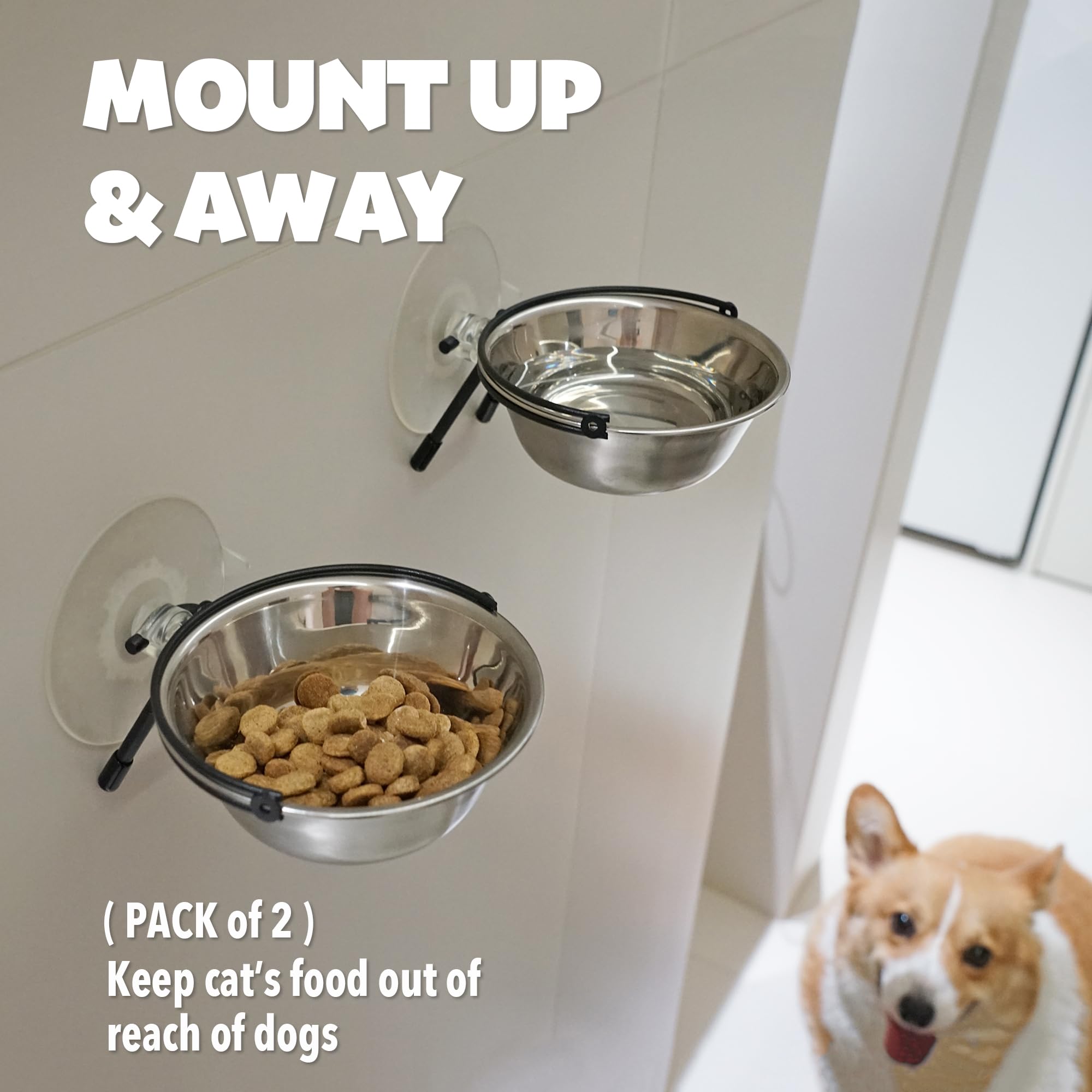 PETKARAY Window Bowls with Suction Cups