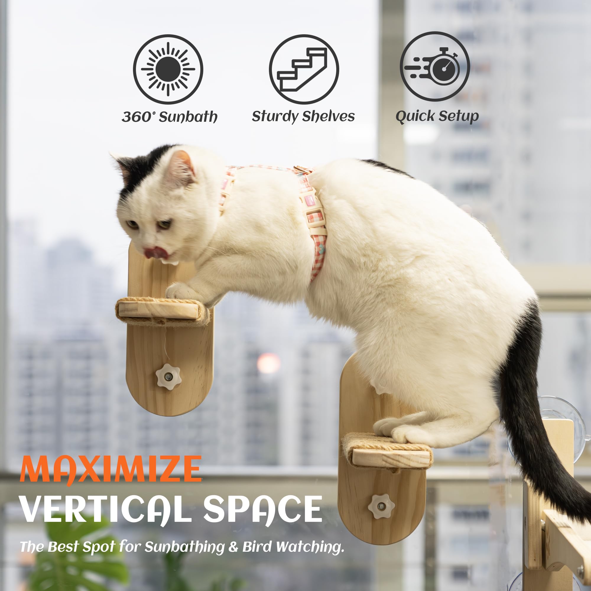 PETKARAY Large Cat Window Shelf, 2 Packs