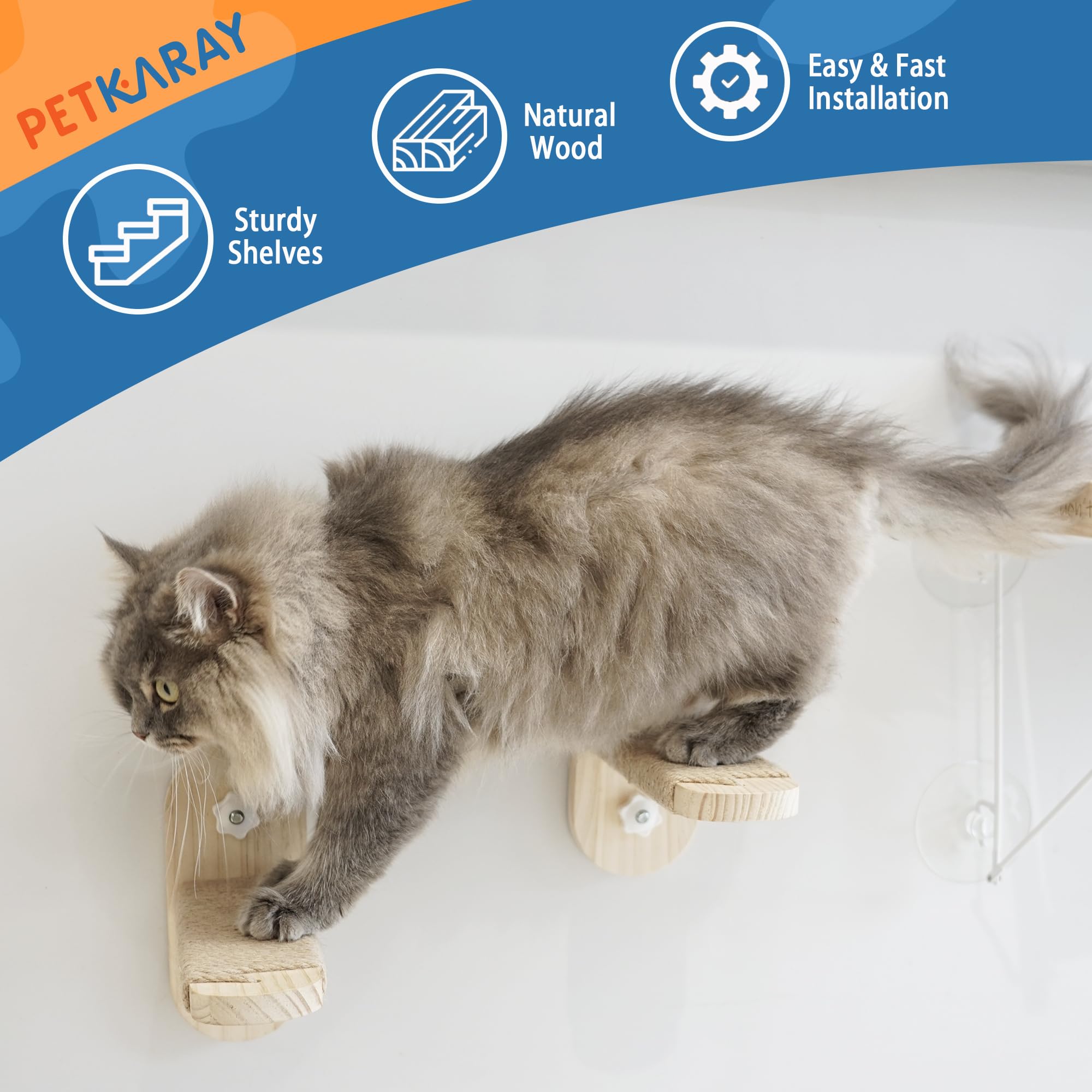 PETKARAY Cat Window Perch Hammock Set