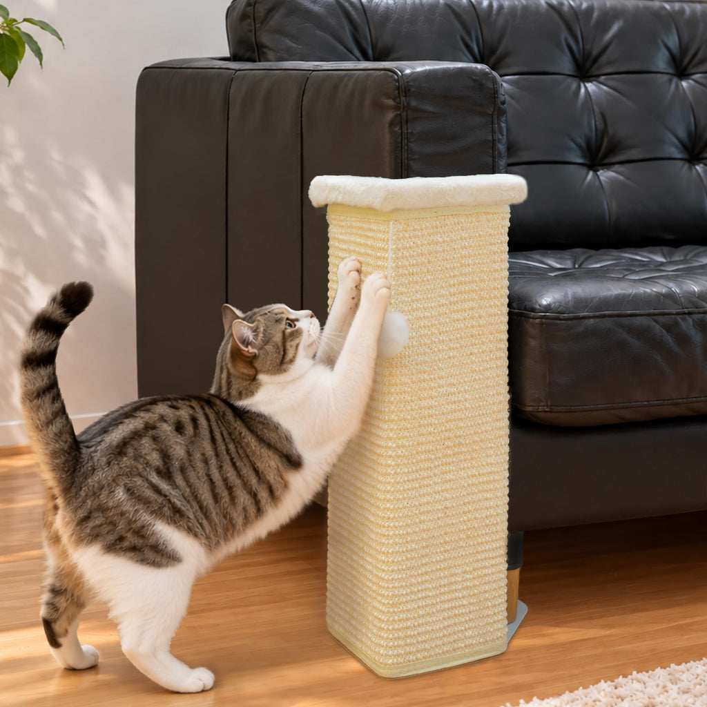 PETKARAY Under-Furniture Cat Scratcher with Plush Top, Protect Couch & Sofa