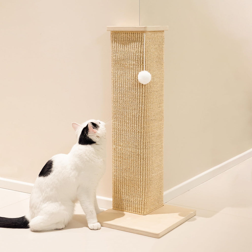 PETKARAY Couch Corner Cat Scratcher Wooden Base