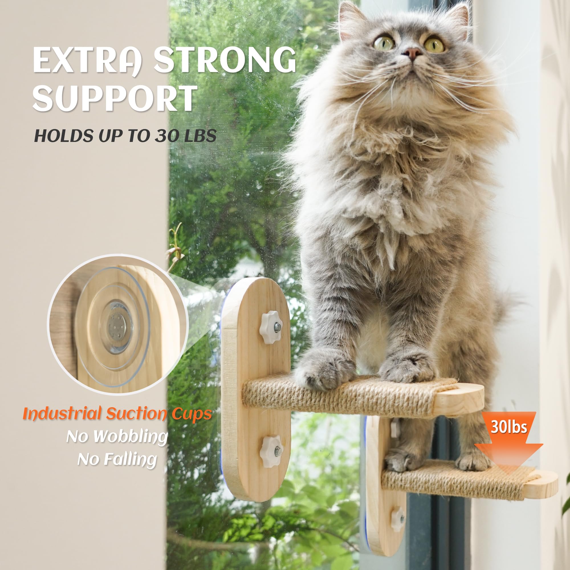 PETKARAY Large Cat Window Shelf, 2 Packs