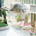 PETKARAY Cat Window Perch Hammock Set