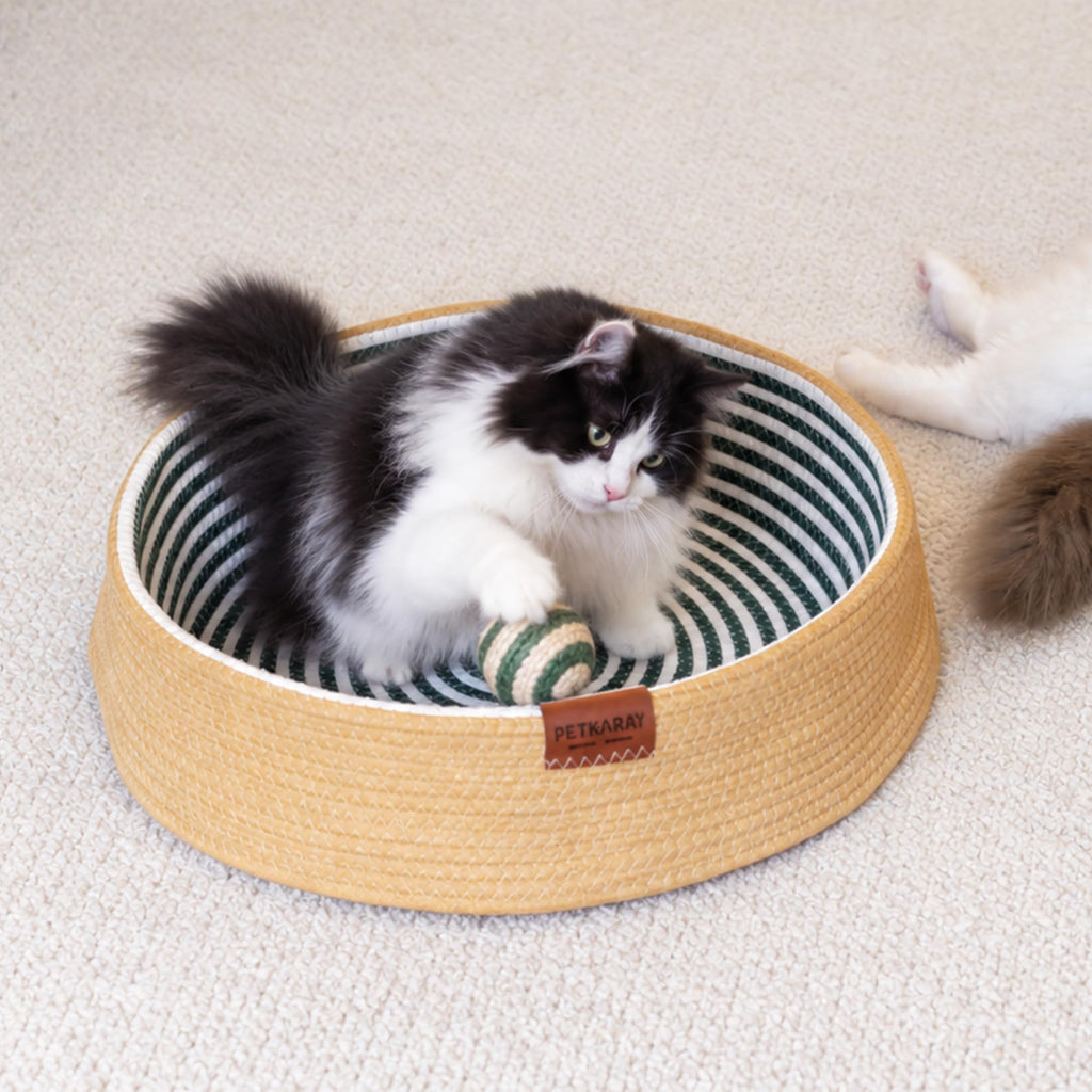 PETKARAY Handwoven Cat Basket Bed with Washable Cushion for Indoor Cats