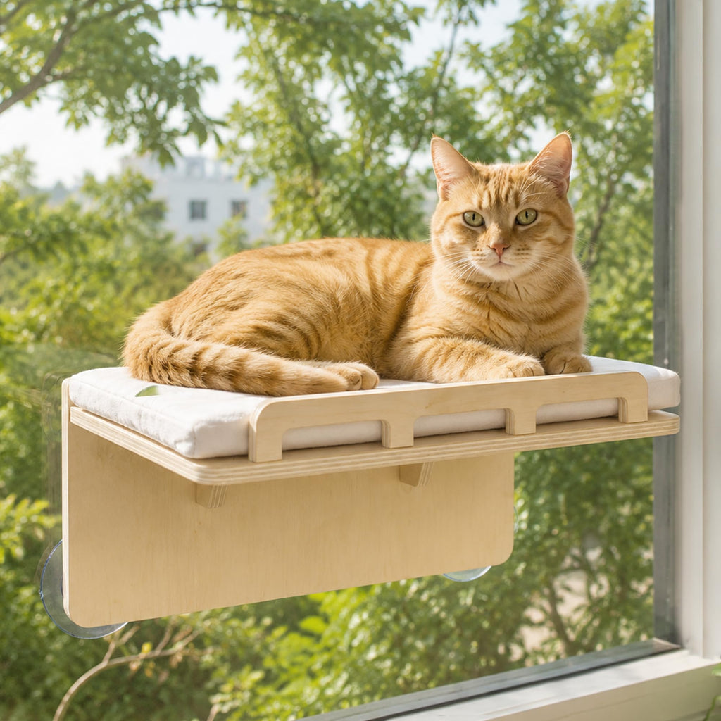 PETKARAY Cat Window Perch with Rail, Wood Hammock Window Bed for Cats