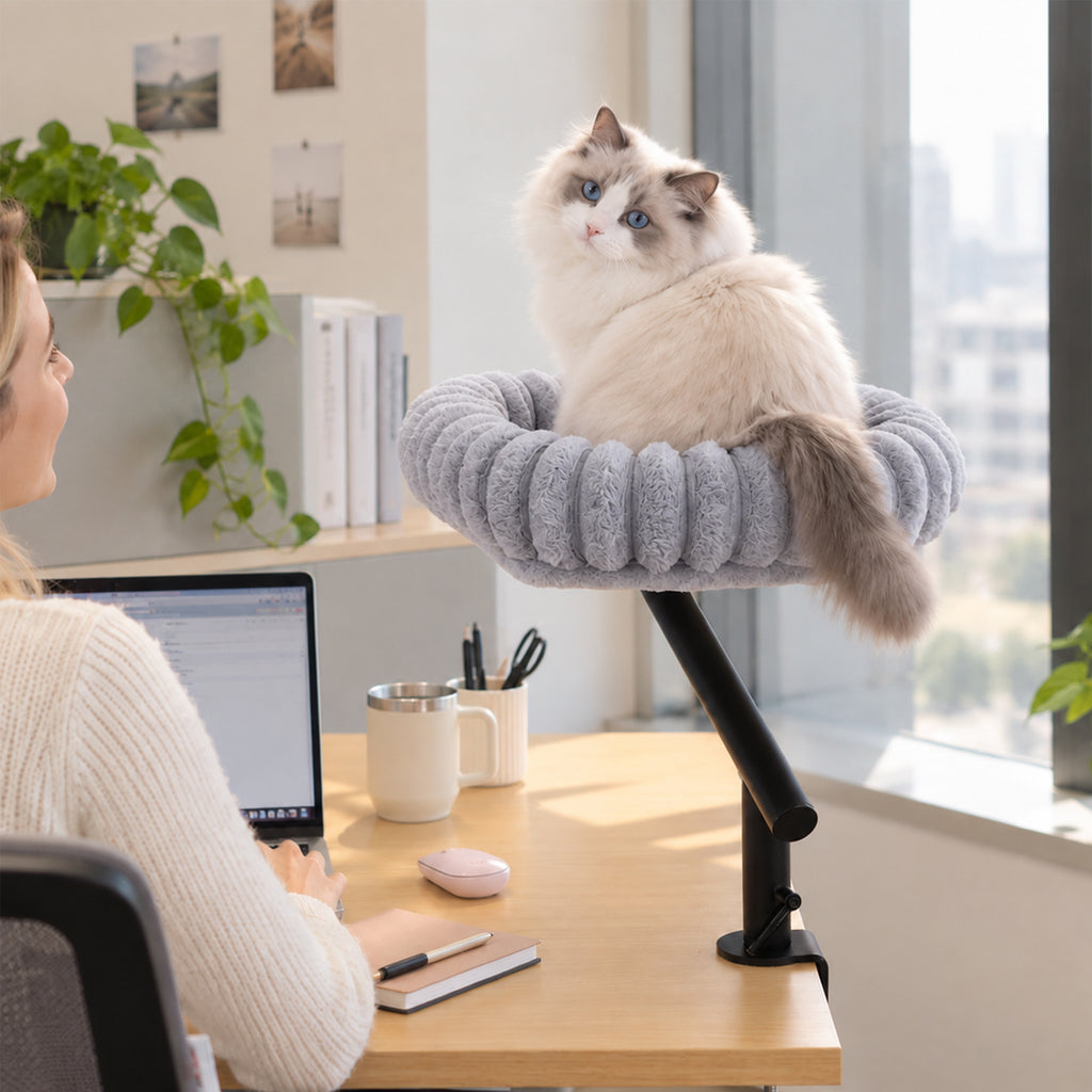 PETKARAY Cloud Cat Desk Bed, 360° Rotating Elavated Cat Hammock Perch